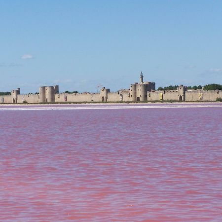 Aigues-Mortes Villa Pres Des Remparts 外观 照片