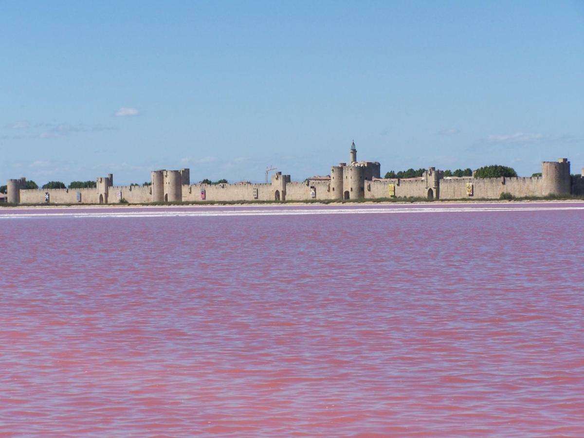 Aigues-Mortes Villa Pres Des Remparts 外观 照片